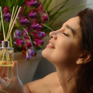 Aromatizante ambiental con difusor – NUEVO